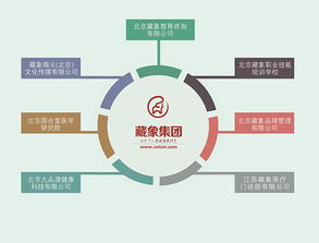 藏象集團(tuán) 引領(lǐng)網(wǎng)絡(luò)技術(shù)服務(wù)新紀(jì)元，賦能企業(yè)數(shù)字化轉(zhuǎn)型